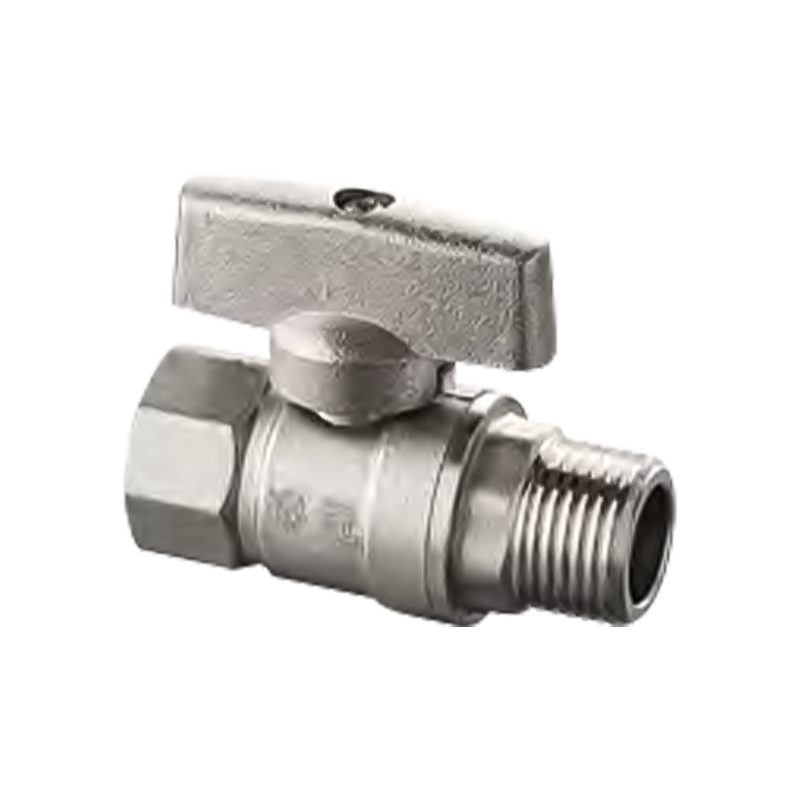 Internum externum filum pila valvae